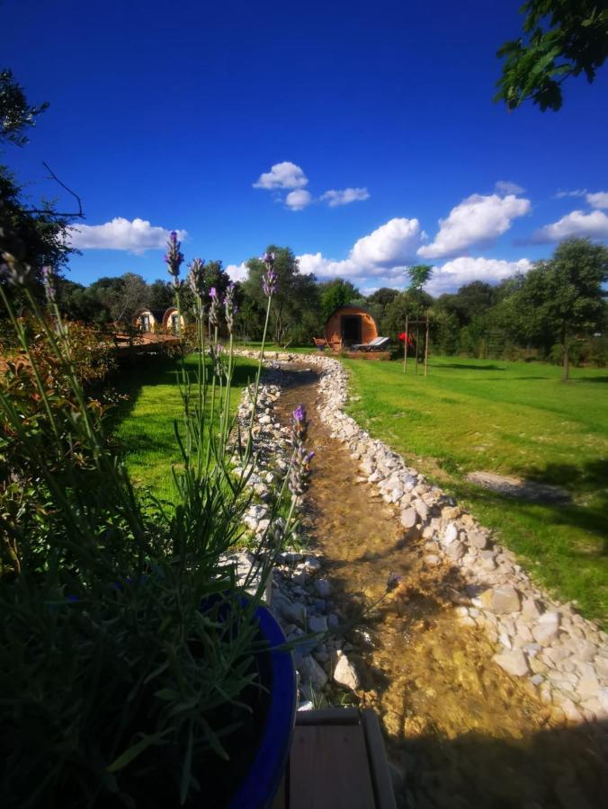 Camping Les Pres Du Roi Sommières Екстериор снимка